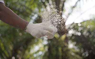 Dolomit Mampu Menyuburkan Tanah dan Meningkatkan Produktivitas Pertanian